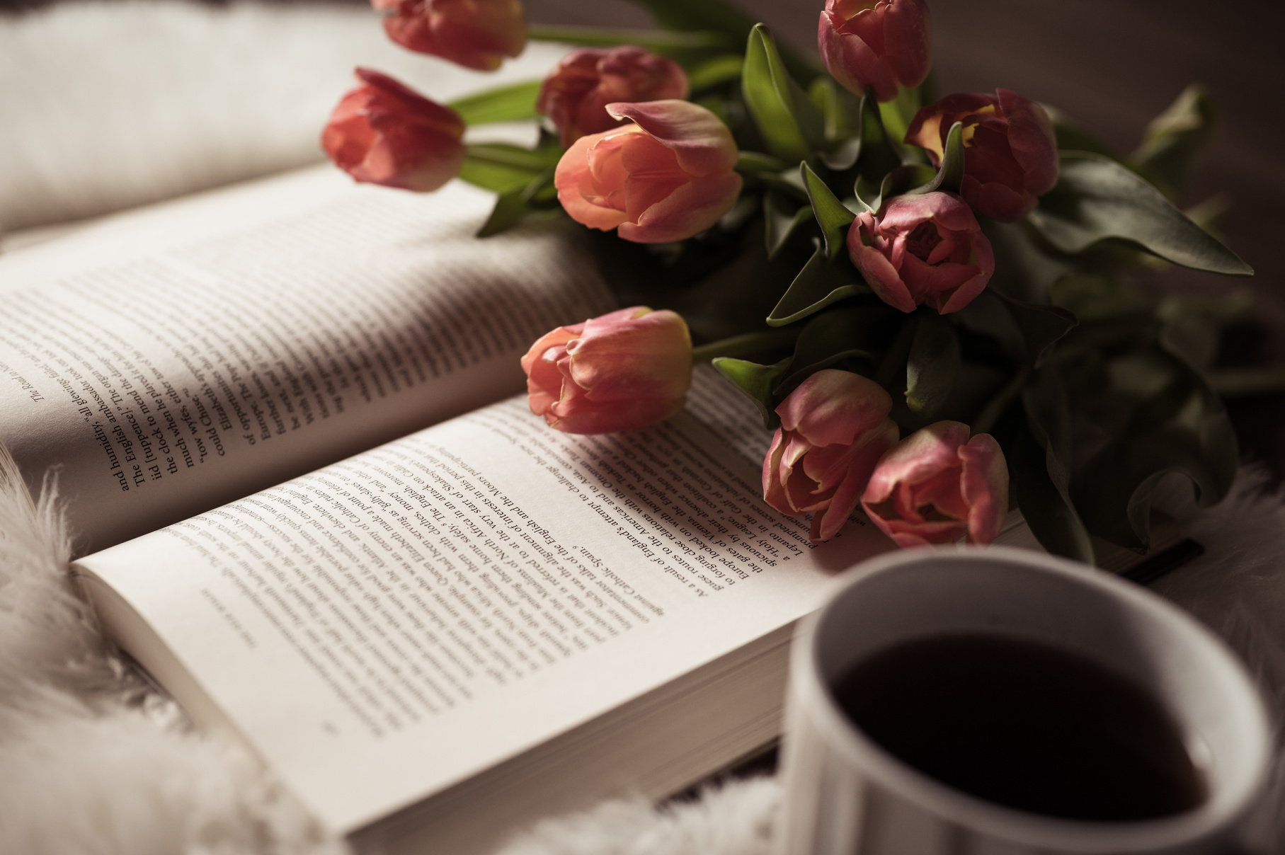 Tulips on a Book